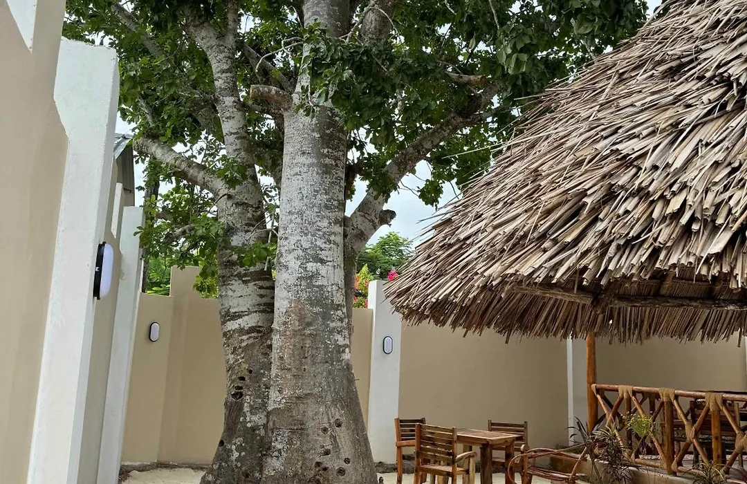 Peace And Color Limited Guest House-1