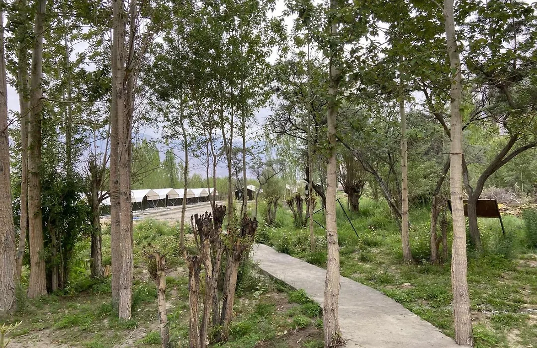 Ladakh Mountian Escape Camp By Lexstays-1