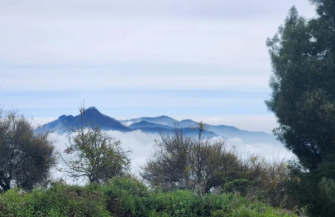 Tranquil Heights-1