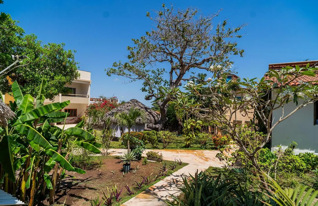 Casa Suica Brasileira-1