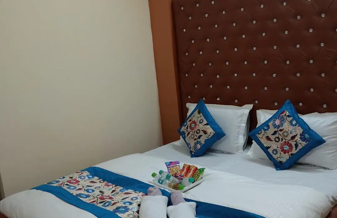 Hotel Shri Krishna Inn-1