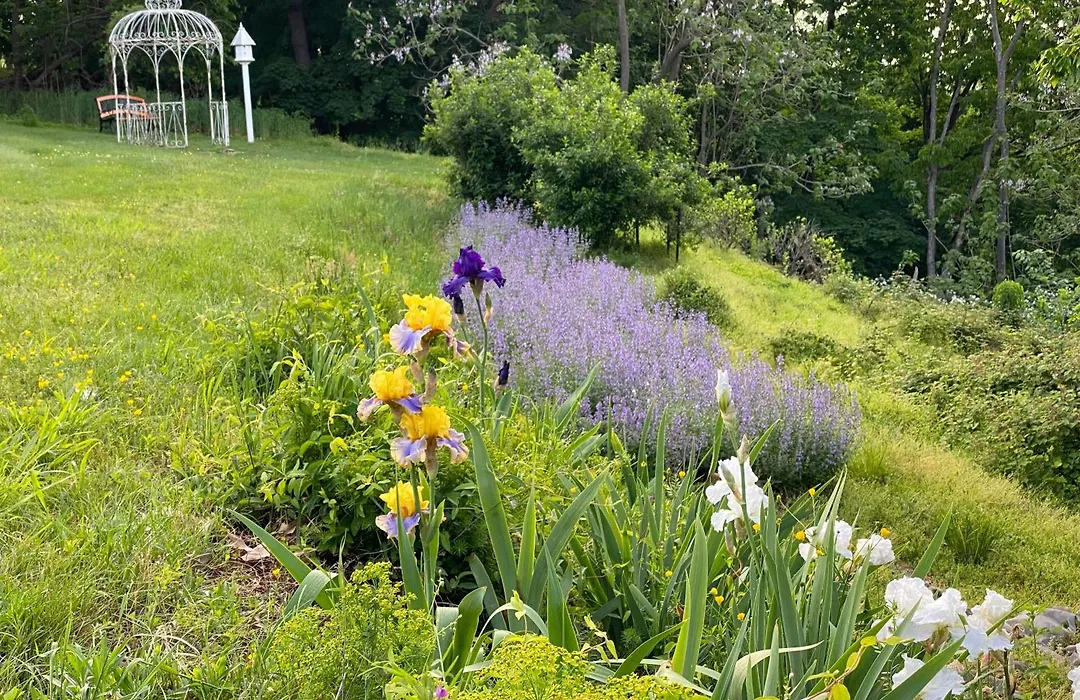 La Soledad Lavender Farm And Guesthouse-1