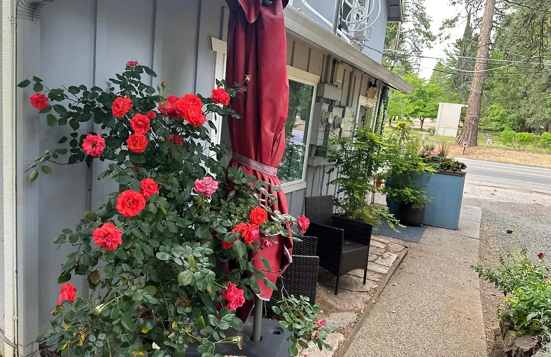 The Pines Inn And Cottages-1