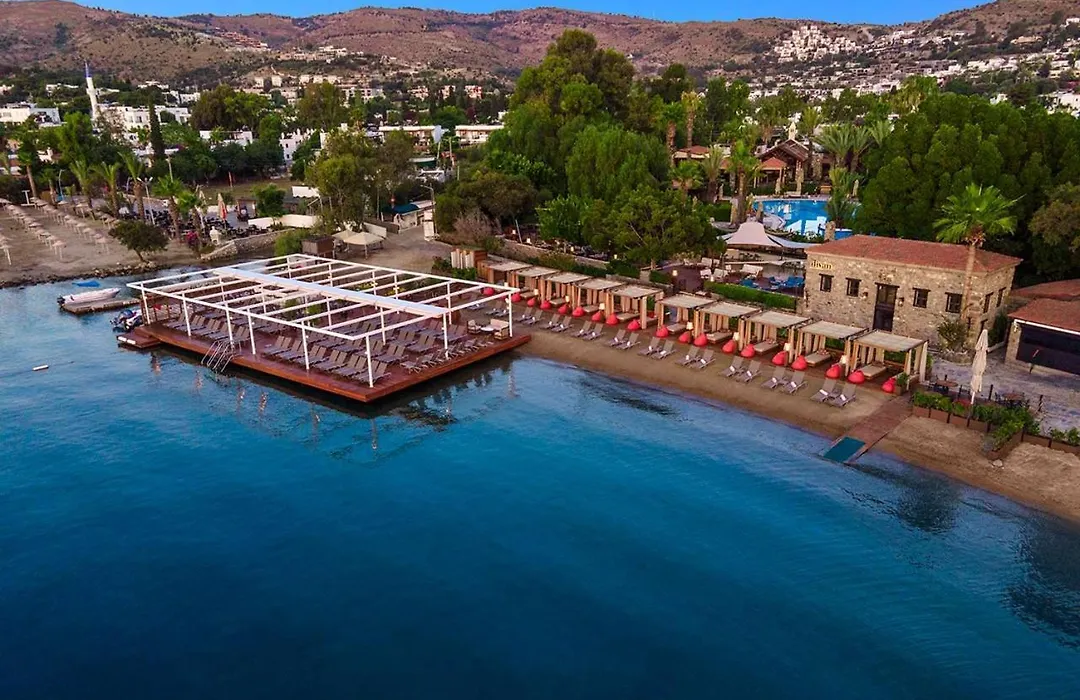 Divan Bodrum Palmira-1
