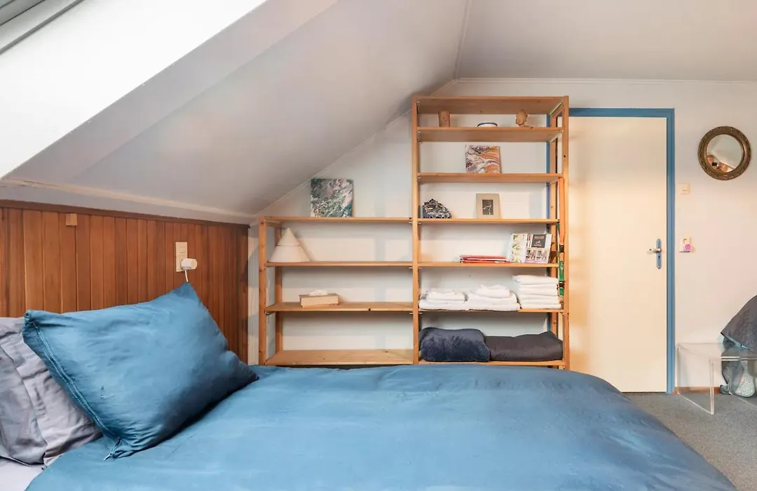 Cozy room in residential Alkmaar-1
