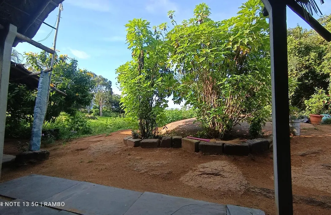 Rambo Homestay & Restaurant Hampi-1