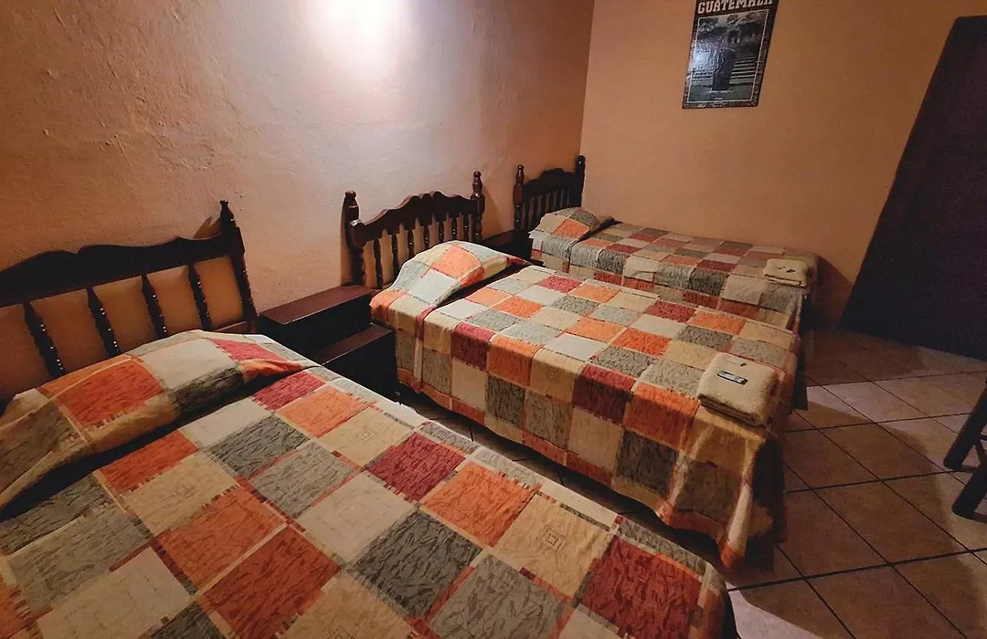 Hotel La Jungla-1