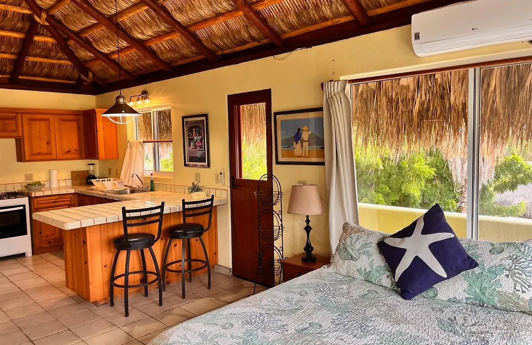 Cabo Pulmo Beach Resort-1