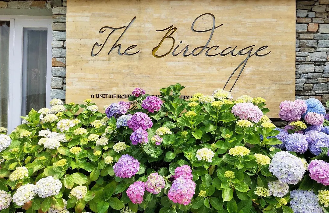 The Birdcage, Mukteshwar-1