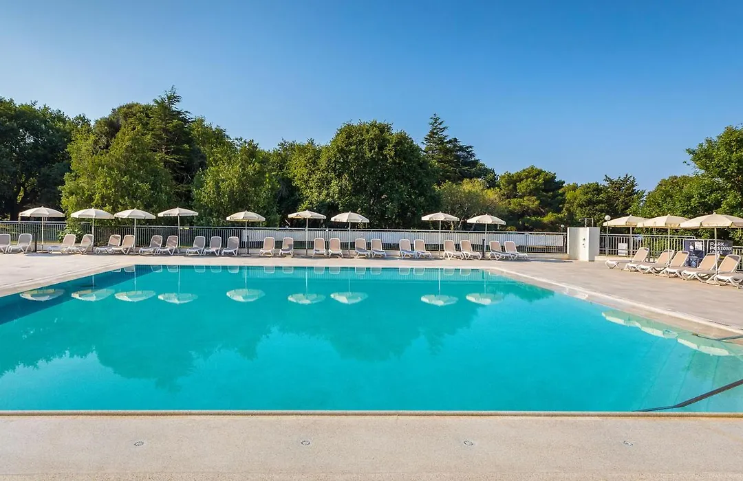 Arena Hotel Holiday-1