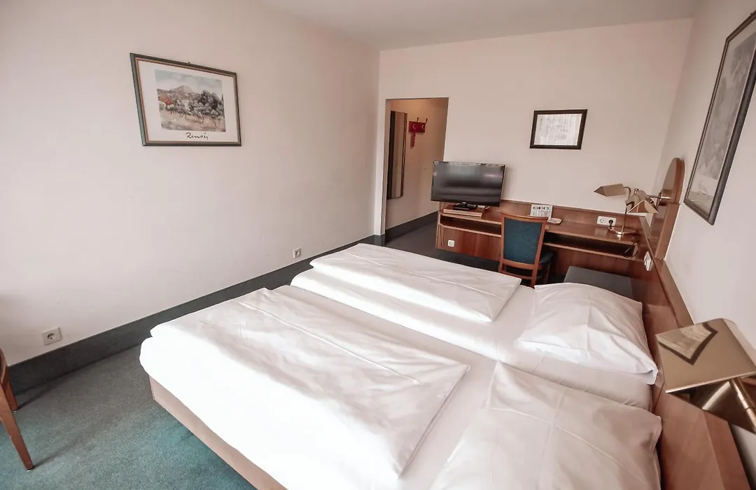 Hotel garni Altenburgblick-1