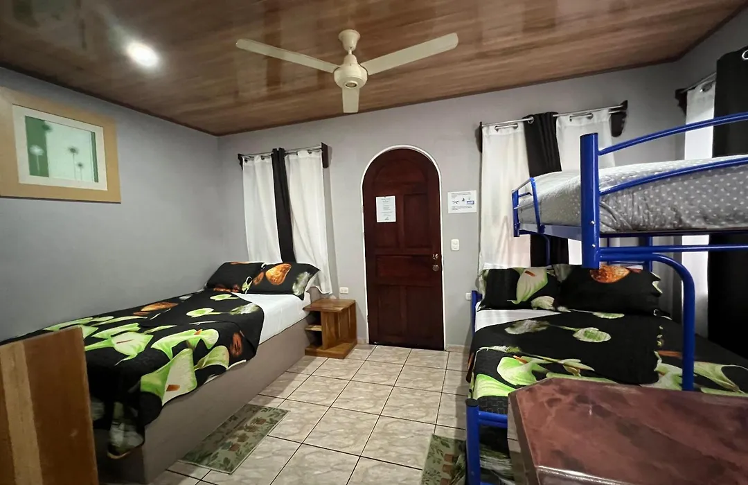 Apartamentos Mansion Tropical-1