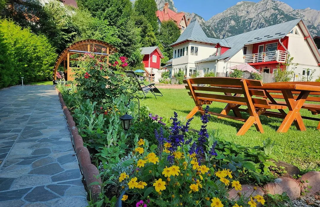 Casa Turta Dulce-1
