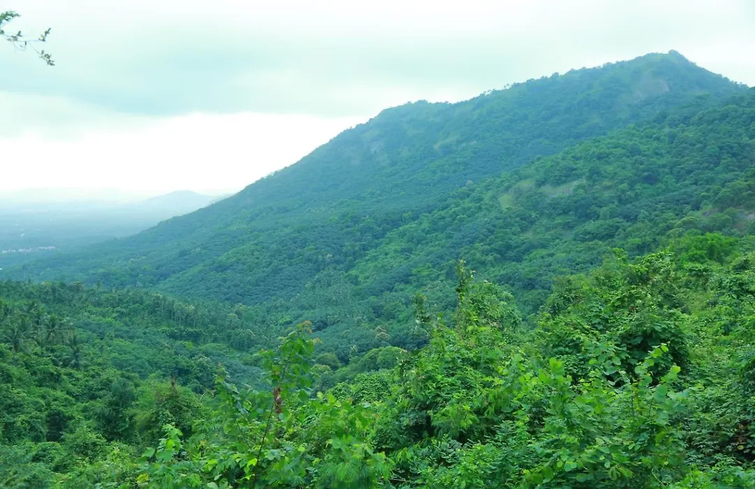 Whiteflower Mountain Resort-1