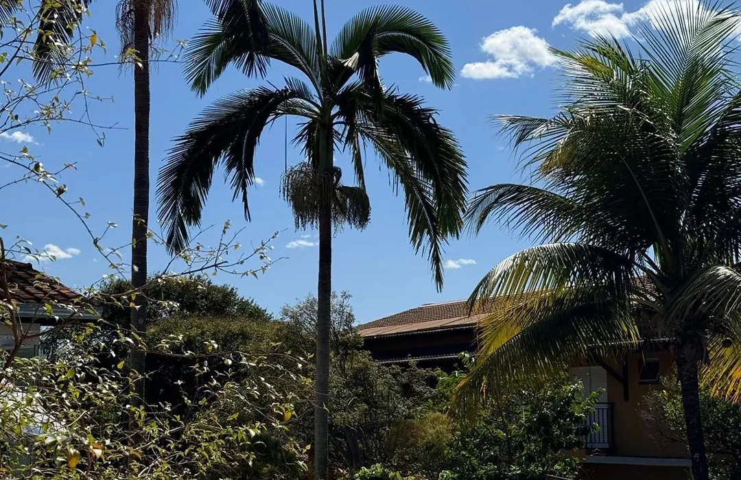 Pousada Shangrila Rp-1