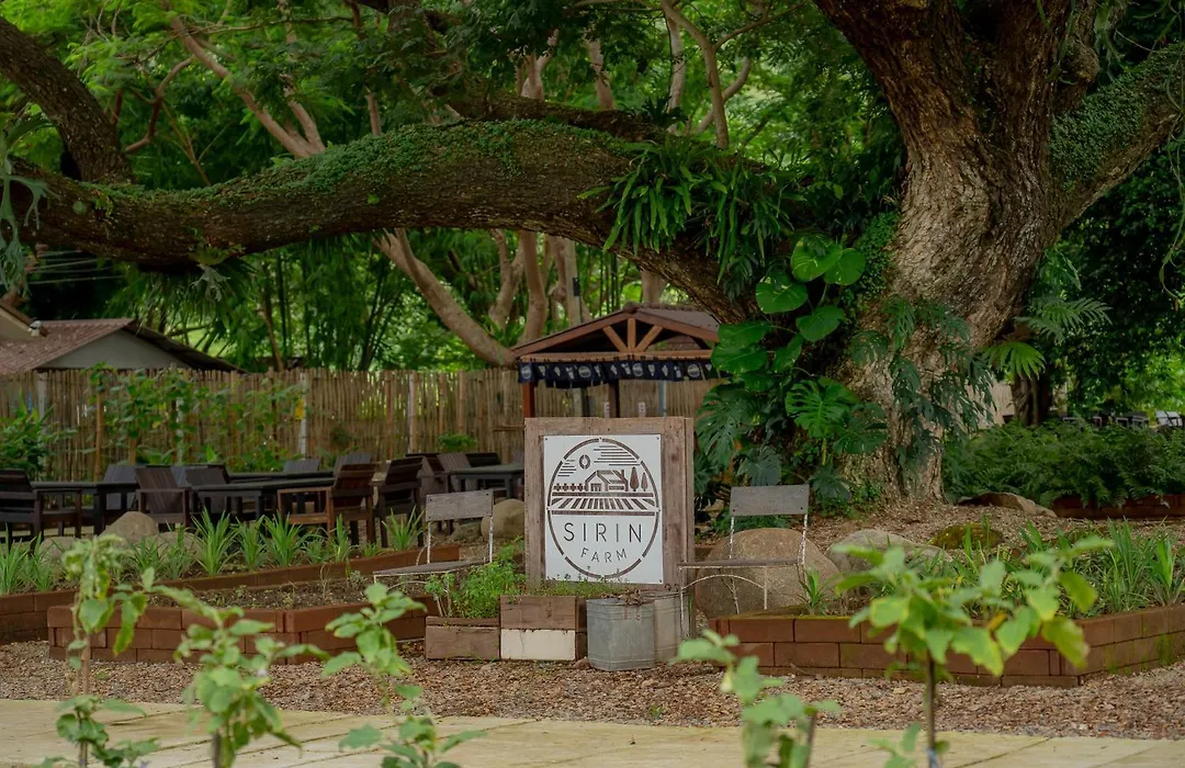 Sirin Farm Chiang Rai-1