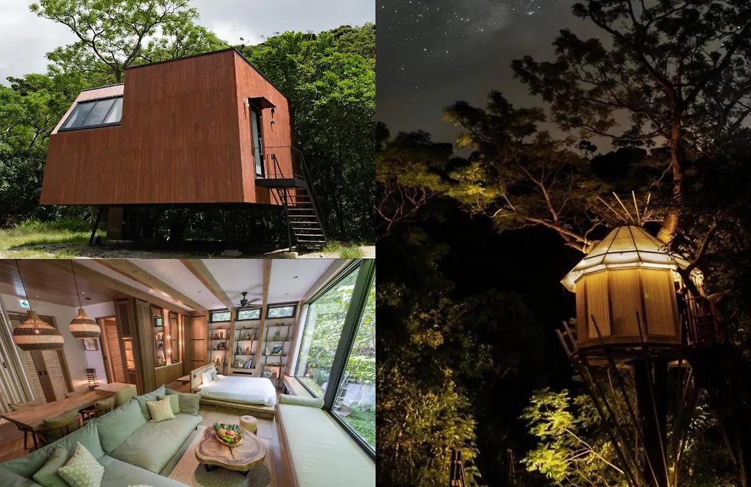 Treeful Treehouse Sustainable Resort Okinawa-1