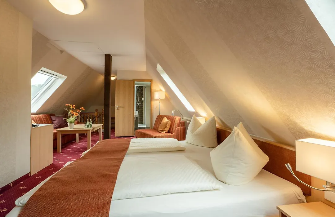 Flair Hotel Villa Ilske-1