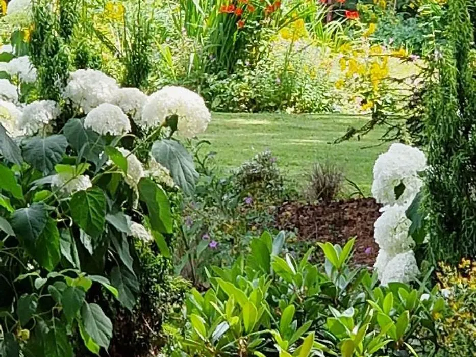Claridge House Retreat Centre Inc Continental Vegetarian Or Vegan Breakfast-1