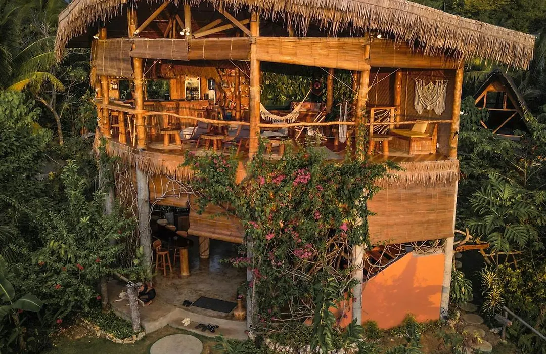 Jungle Kingdomes Guest House-1