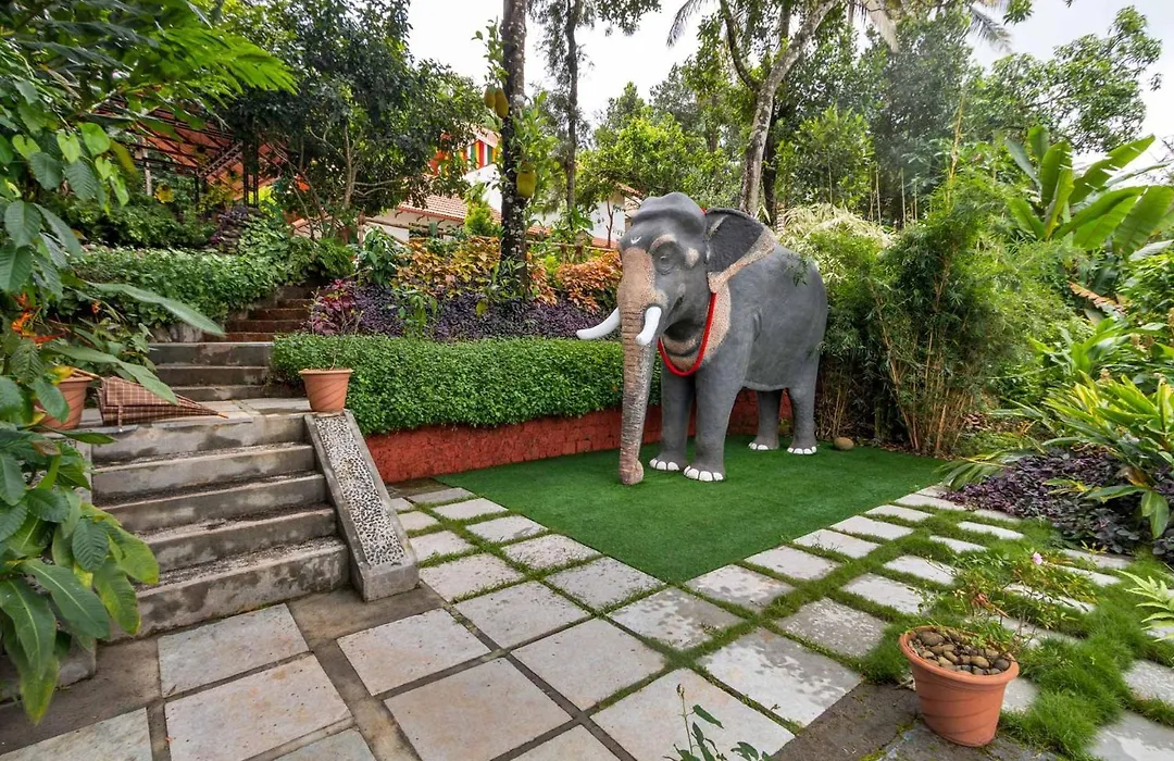 Serene Valley Resort Wayanad-1