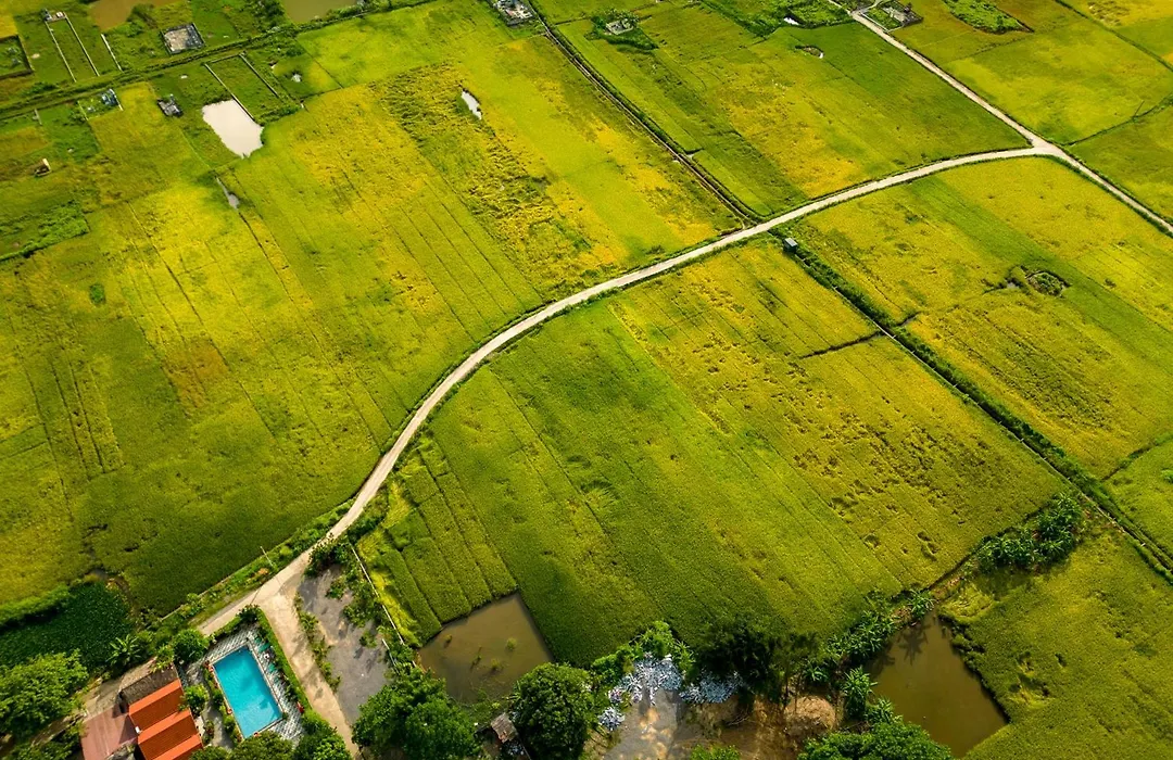 Tam Coc Minh Hung Homestay-1