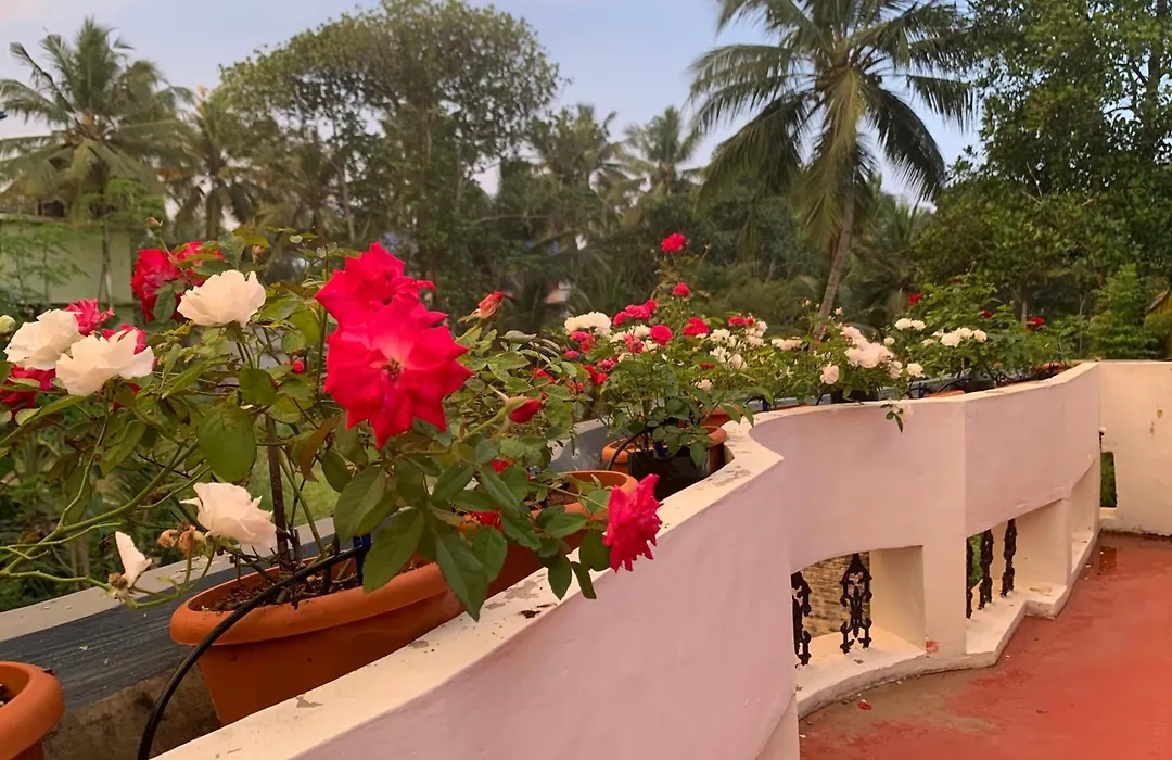 Archrose Villa-1