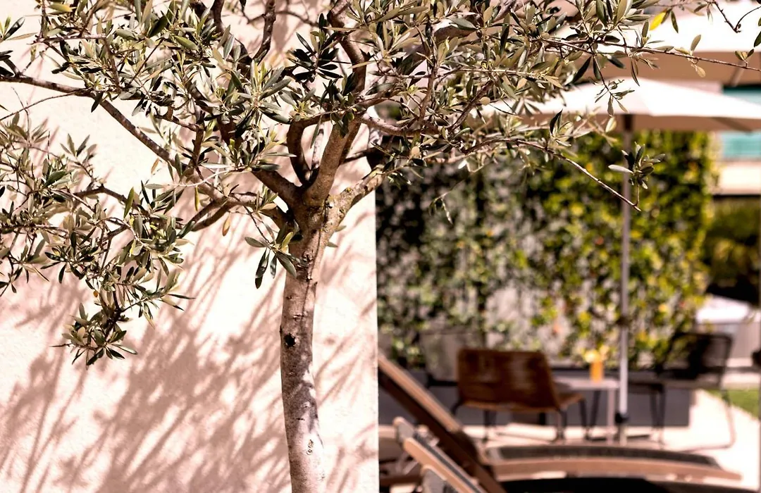 City Hotel Merano-1