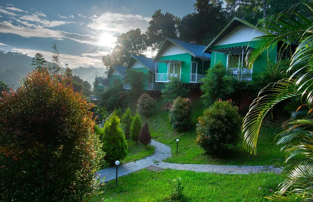 The Arbour Resort Munnar-1