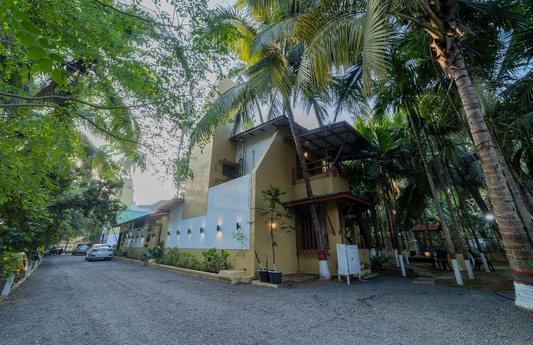 Coconut Beach Farm-1