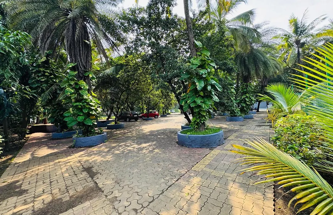 Areca Palms Hotel & Resort-1