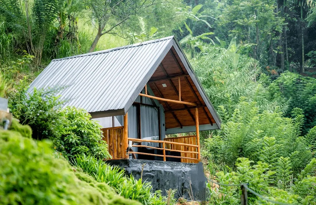 Ella Lovers View Cabins-1