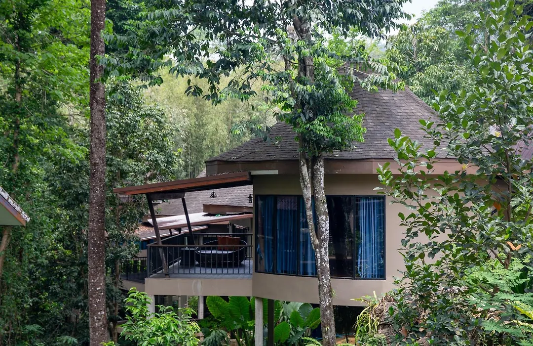 Rock And Tree House Resort-1