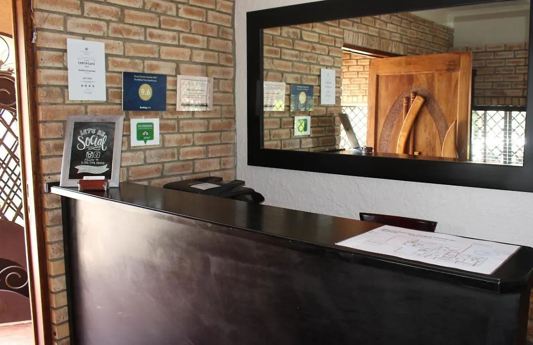 The Willow Tree Guesthouse-1