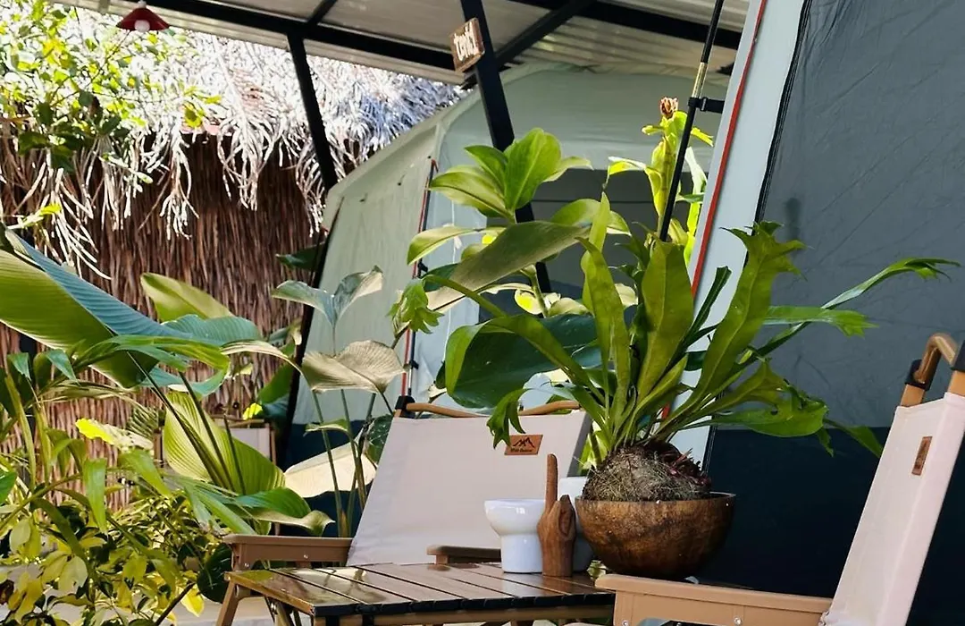 Tropical Hostel-1