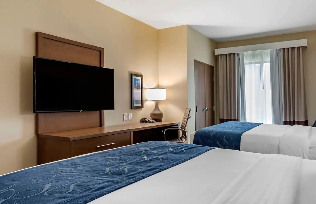 Comfort Inn & Suites Downtown Near University-1