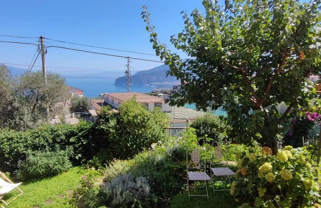 Lally'S Garden-1