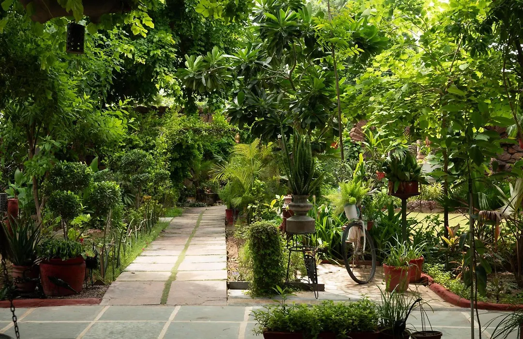 The Mandore - A Leafy Resort-1