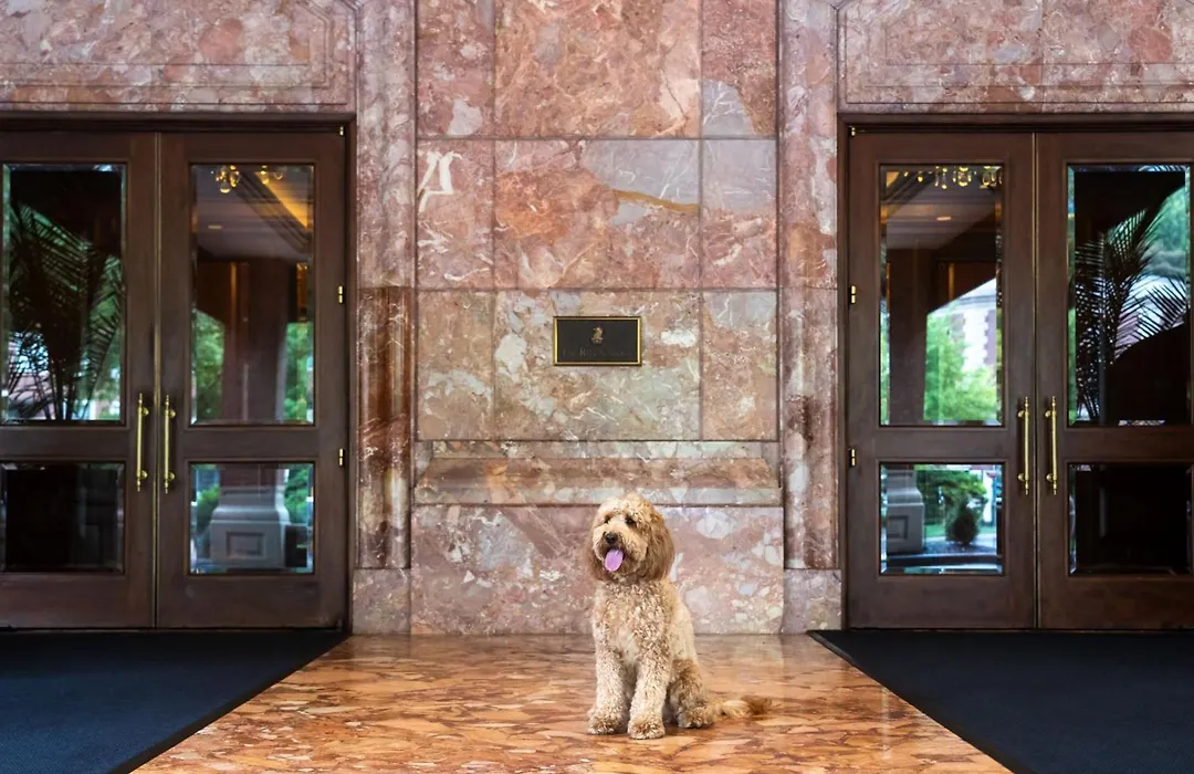 The Ritz-Carlton, St. Louis-1