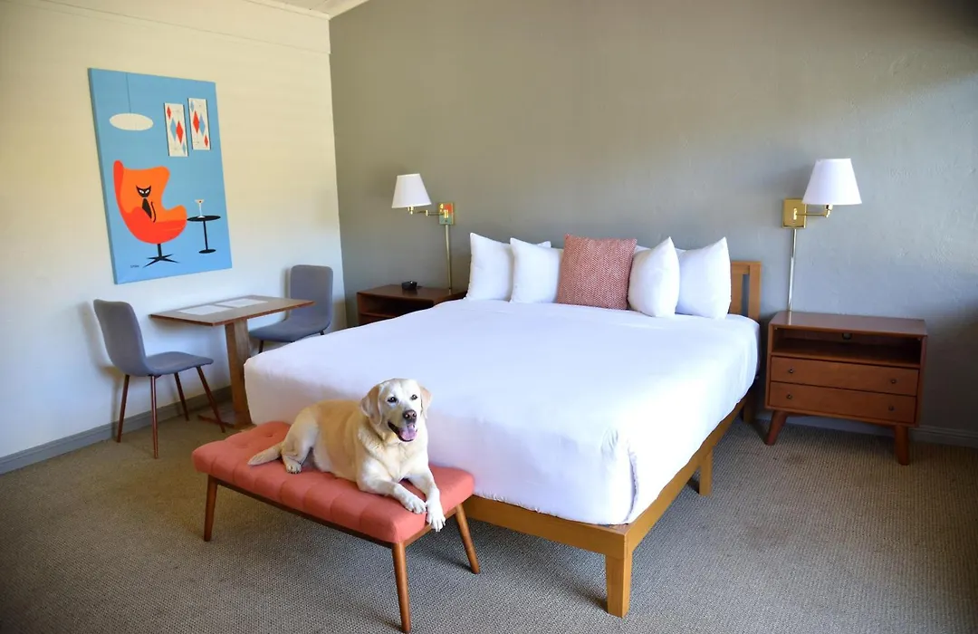 Contenta Inn-1