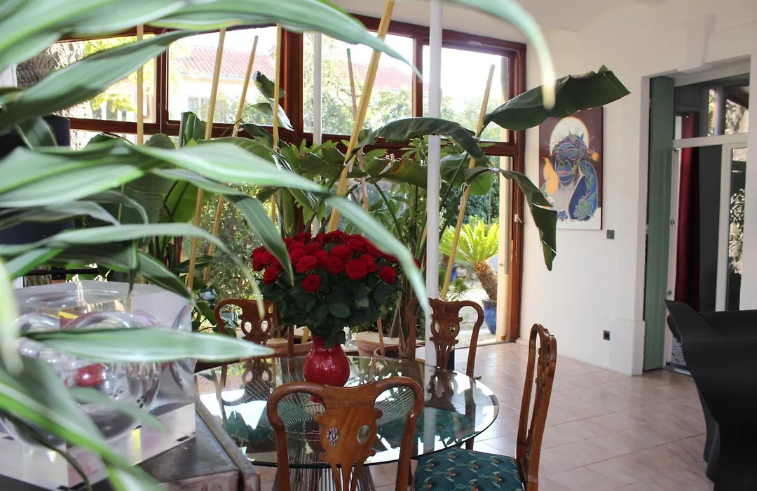 Villa Kumquats-1