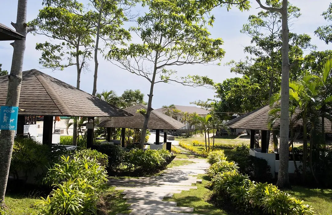 Cocoons Club Laiya-1