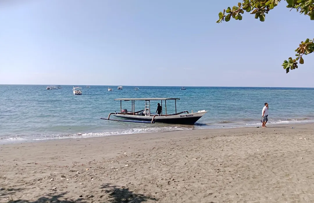 The Beach Bungalows & Turtle Sanctuary-1