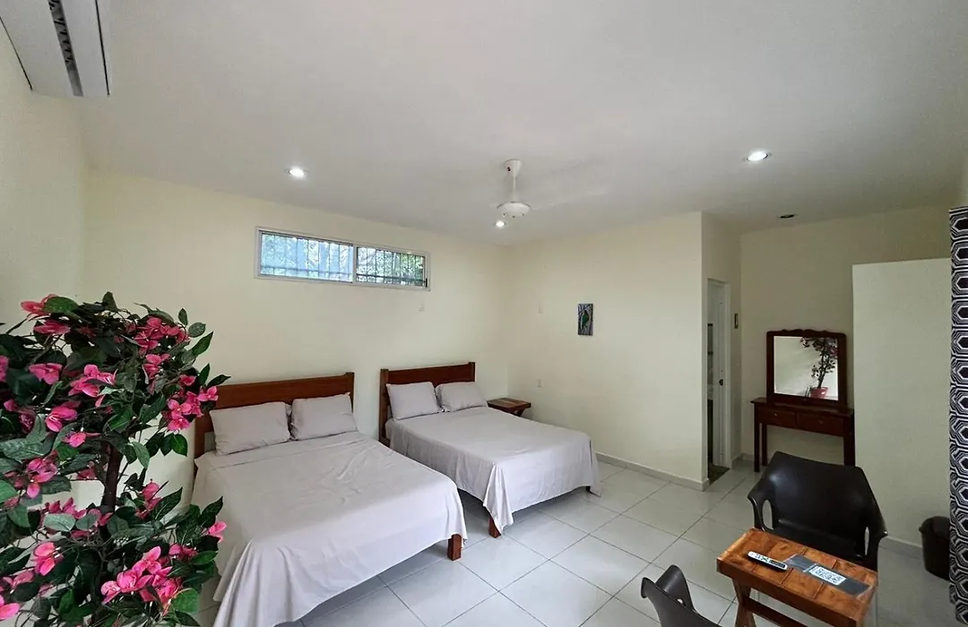 Casa Del Cenote-1