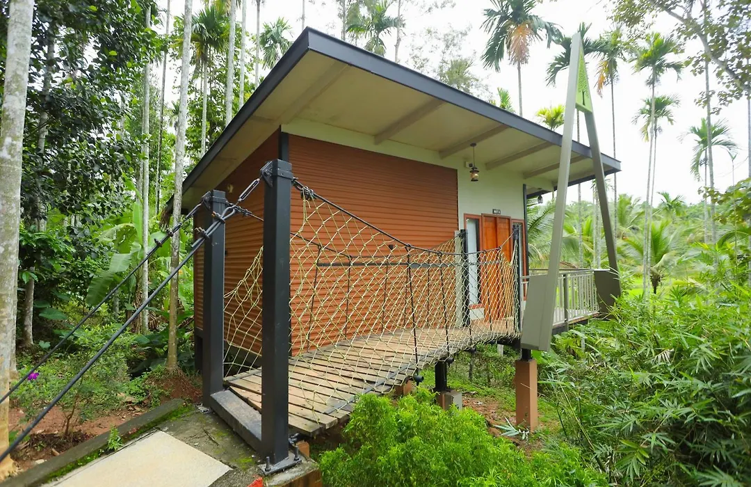 Paddy View Resort Wayanad-1