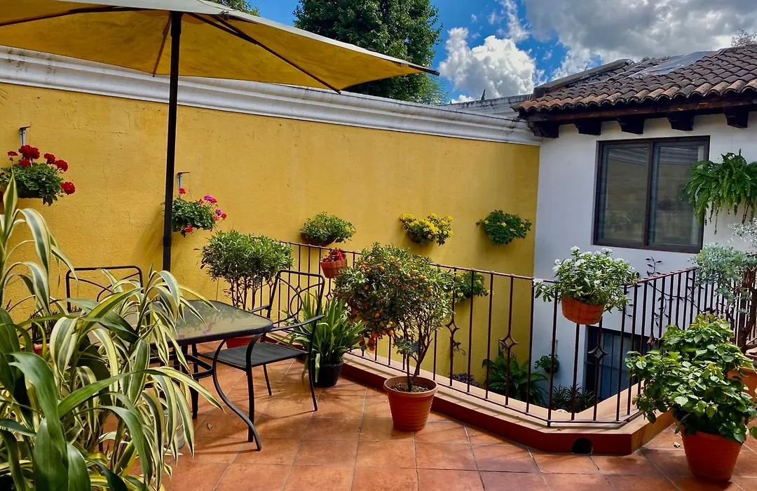 Hotel La Galeria-1