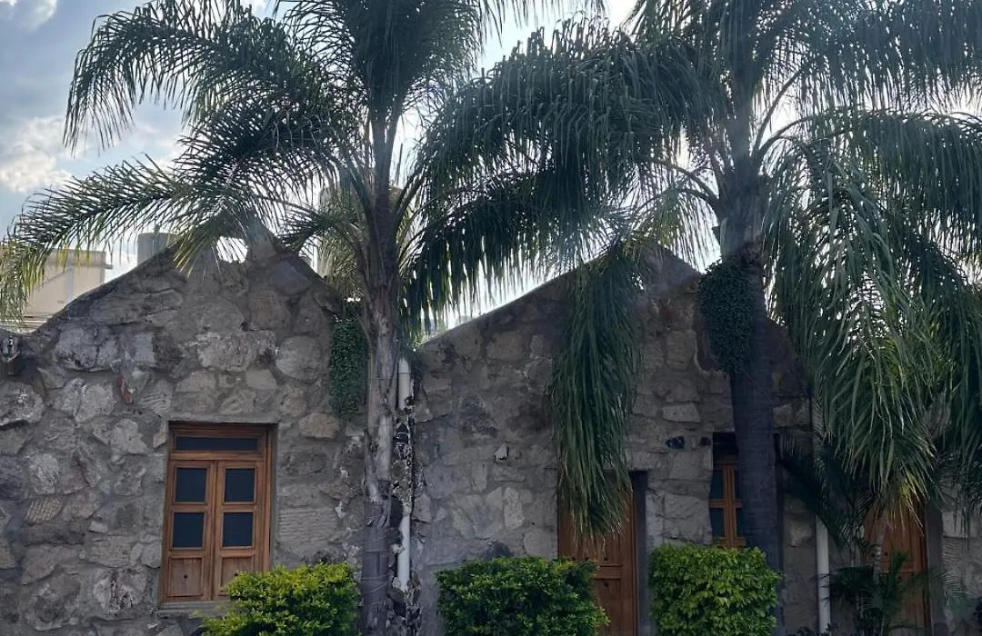 Terraza Monteagave-1