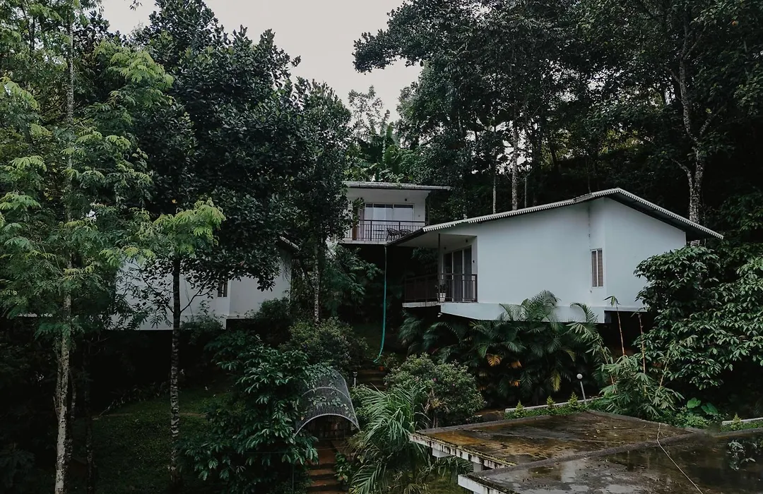 Wild Stories Resort-1