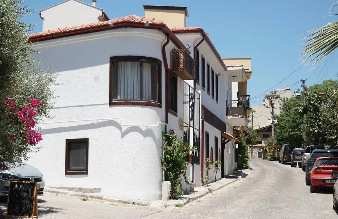 Pikan Ephesus-1