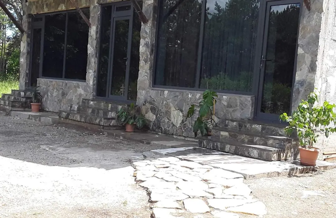 Mm House-1
